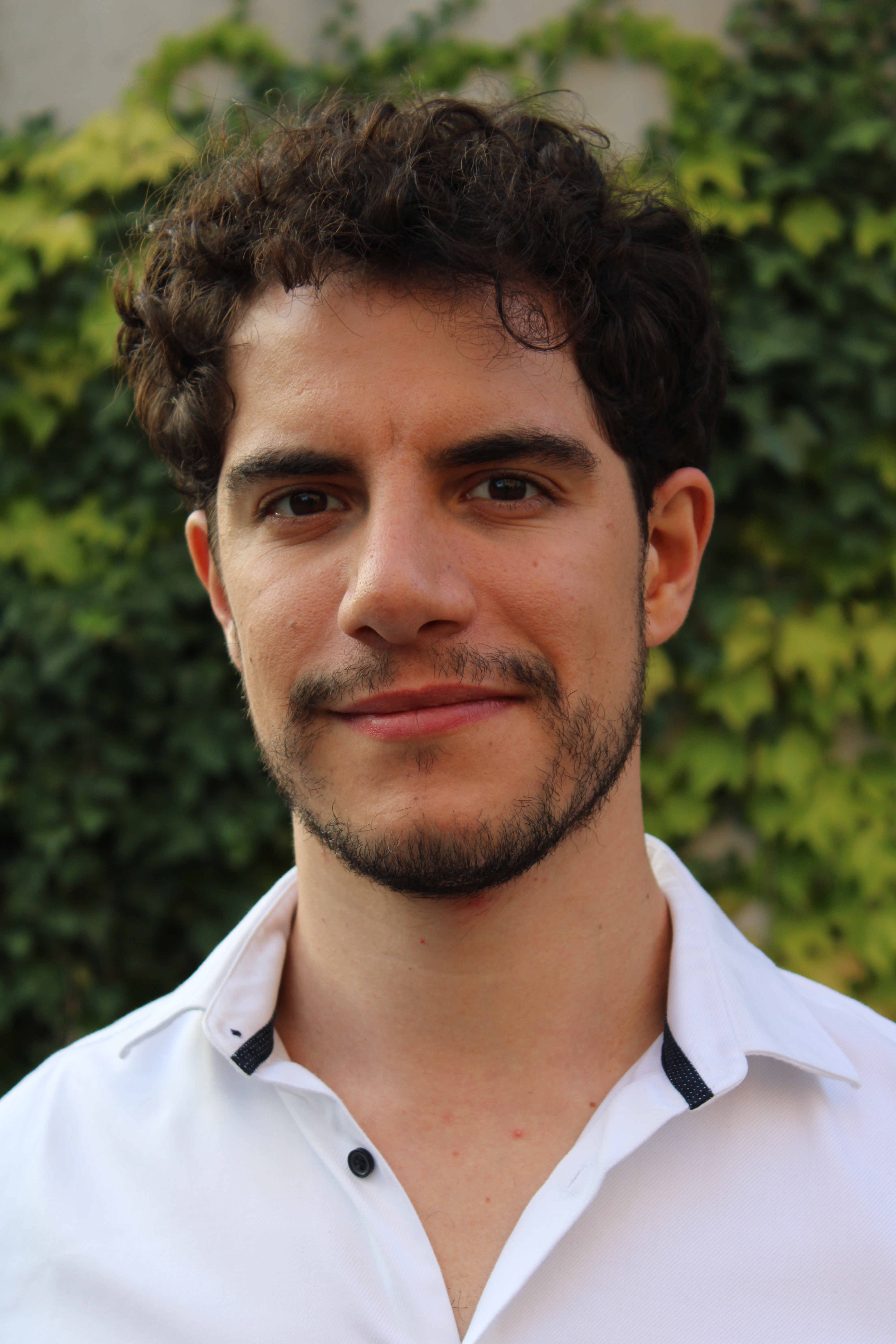Tommaso Caudullo